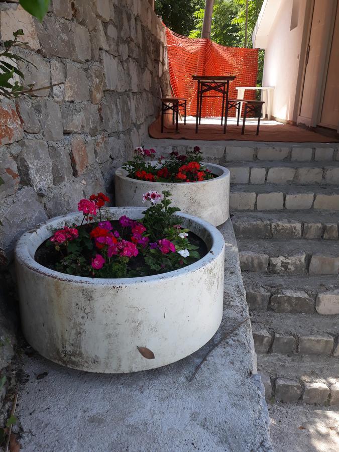 Apartmani Viza Risan Zewnętrze zdjęcie
